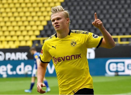 篮球篮网新援表现稳定（篮网新援发挥稳健）